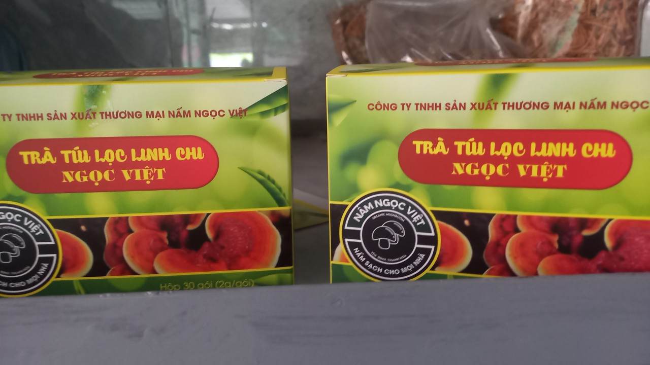 Sản phẩm “ Nấm Ngân Nhĩ Ngọc Việt” và “ Trà Linh chi túi lọc Ngọc Việt” đạt OCOP 3 sao