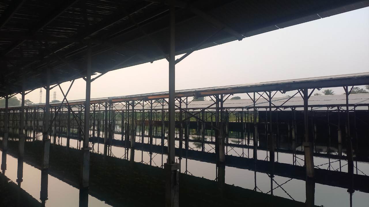 Mô hình điện năng lượng mặt trời tại địa phương.