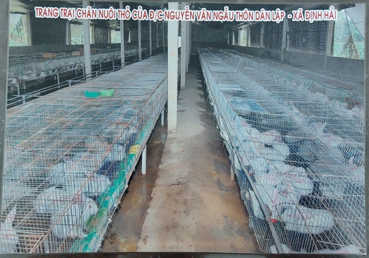 Mô Hình CCB tham gia nuôi thỏ