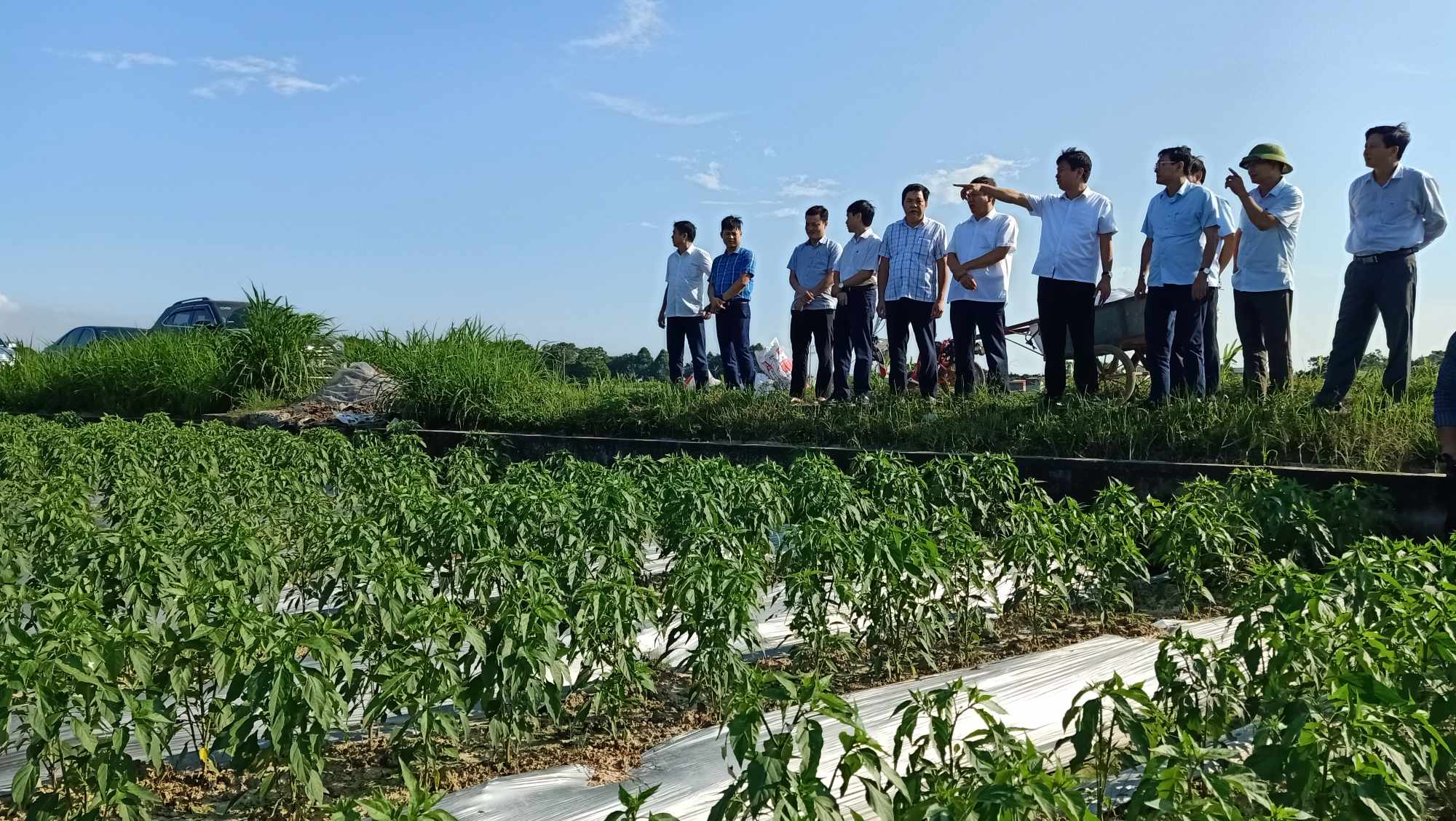 Đồng chí Trịnh Xuân Thúy, Tỉnh ủy viên, Bí Thư Huyện uỷ và đoàn công tác kiểm tra công tác sản xuất vụ đông tại xã Yên Phú