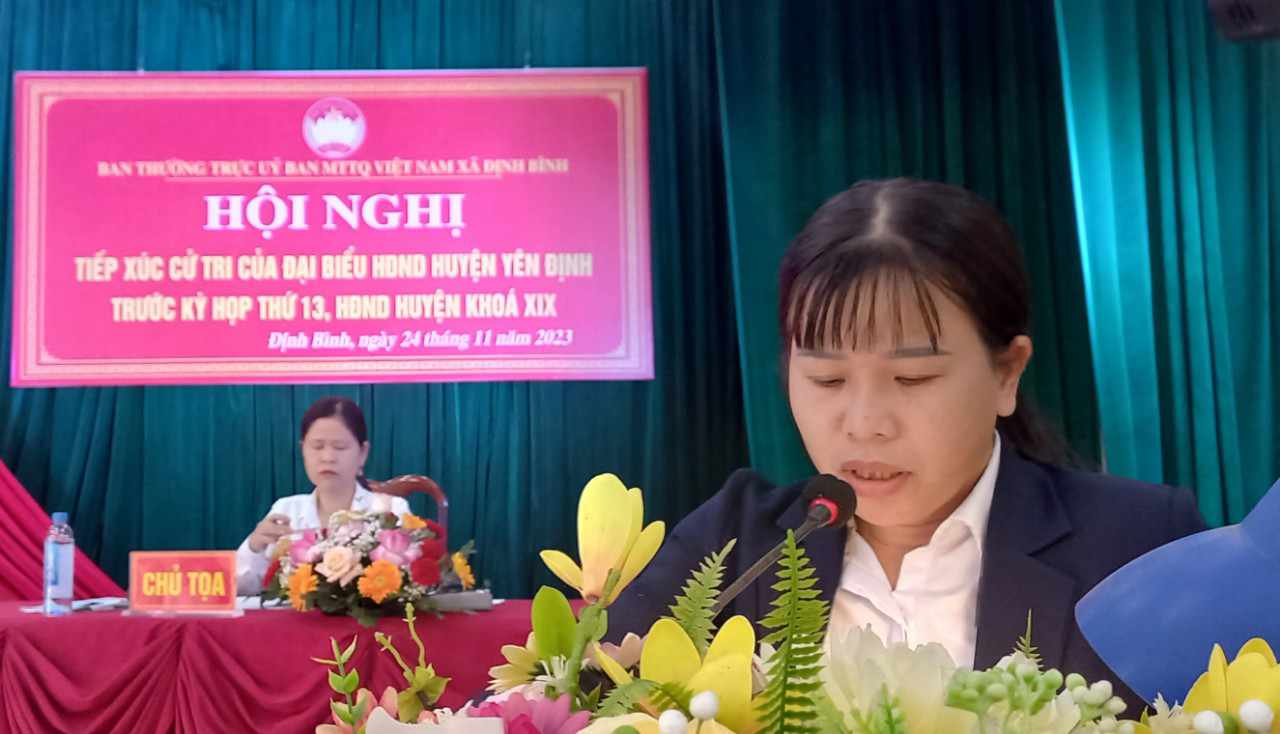Cử tri Định Bình phát biểu ý kiến, kiến nghị tại hội nghị.