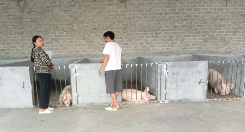 Công tác kiểm tra, giám sát mục đích sử dụng vốn luôn kịp thời, hiệu quả.