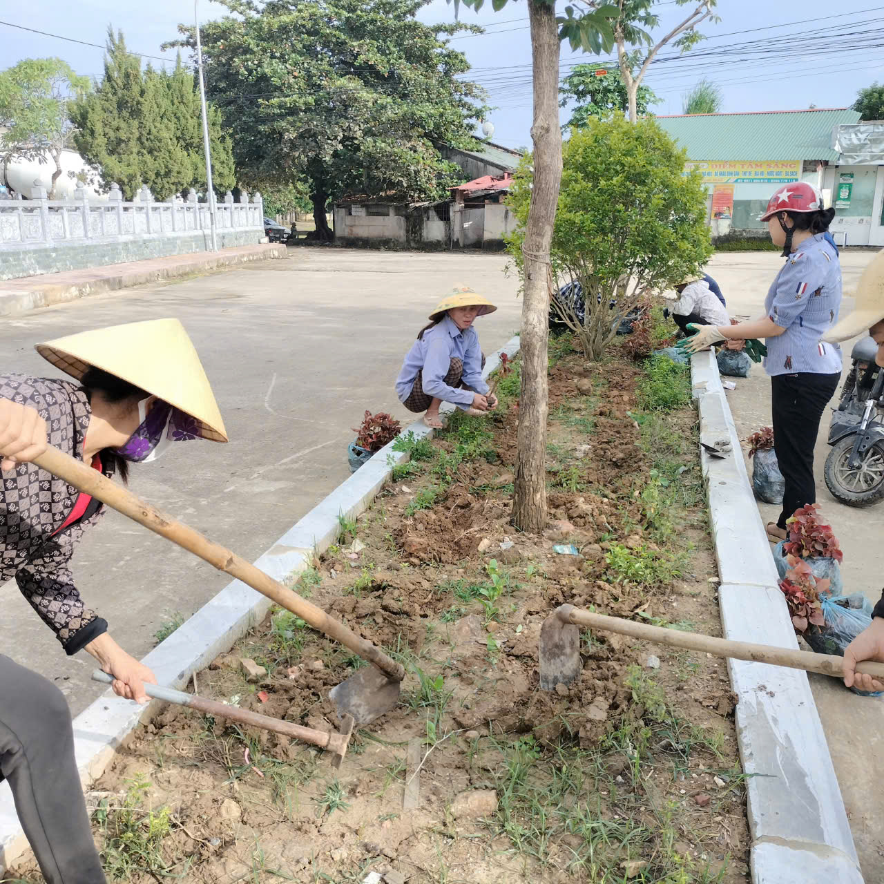 Các cấp hội trong huyện thi đua trồng cây xanh trên các tuyến đường giao thông thôn, xóm.